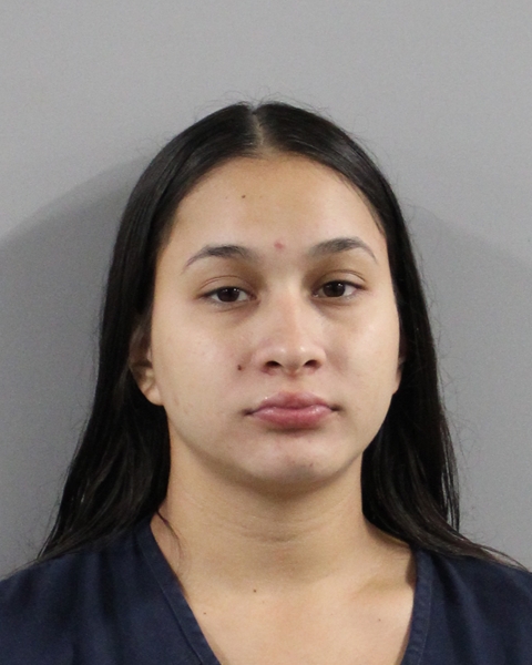 Destiny Ruiz booking photo
