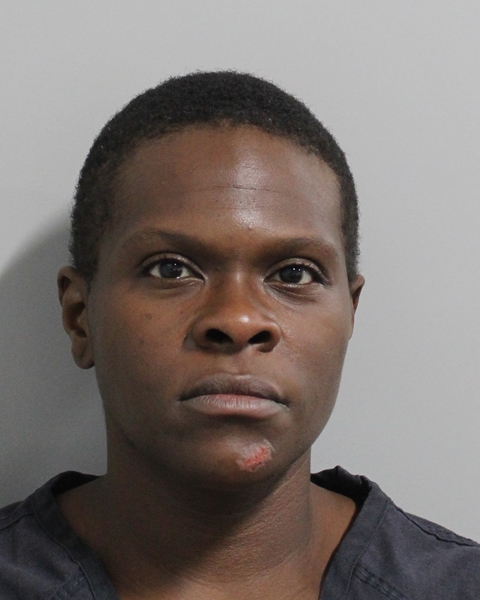 Asharee Brown booking photo