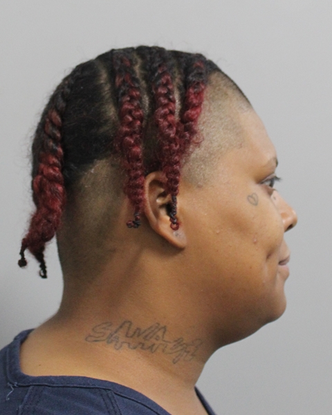 Ashley Vazquez booking photo