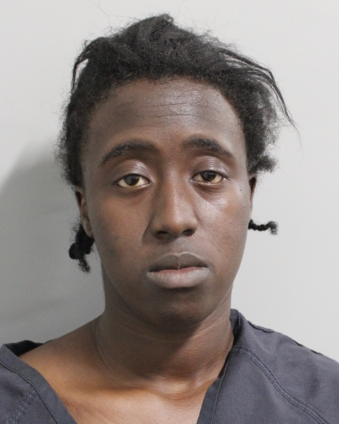 Booking photo of Miracle Lee