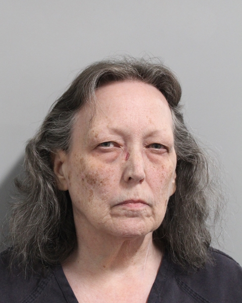 Booking photo of Brenda Slagle