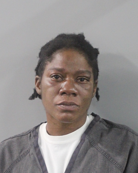 Booking photo of Shanise Jones