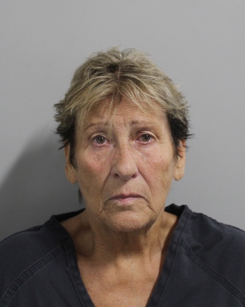 Booking photo of Jane Martin