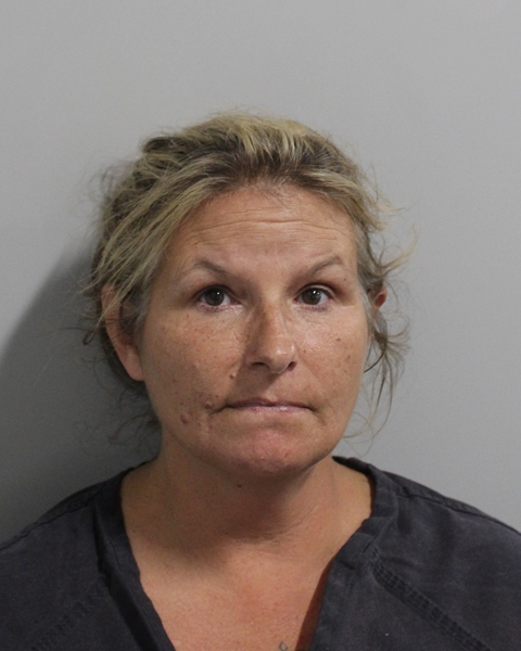 Michelle Pitts booking photo