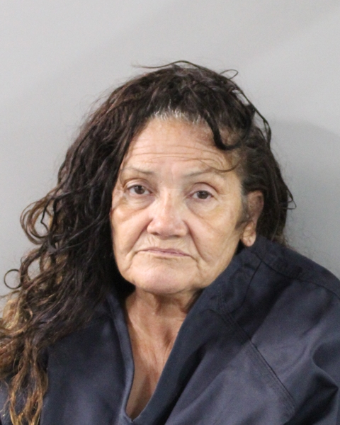 Booking photo of Lisa Paul