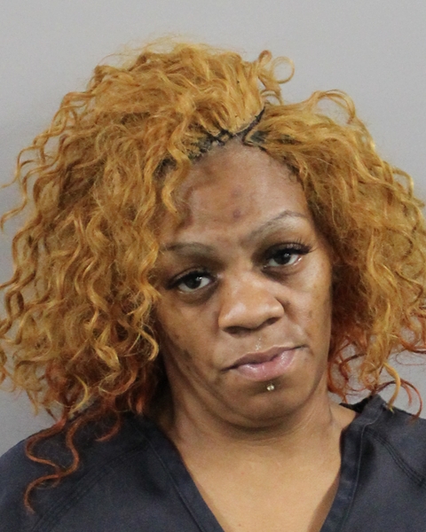 Booking photo of Brittney Davis