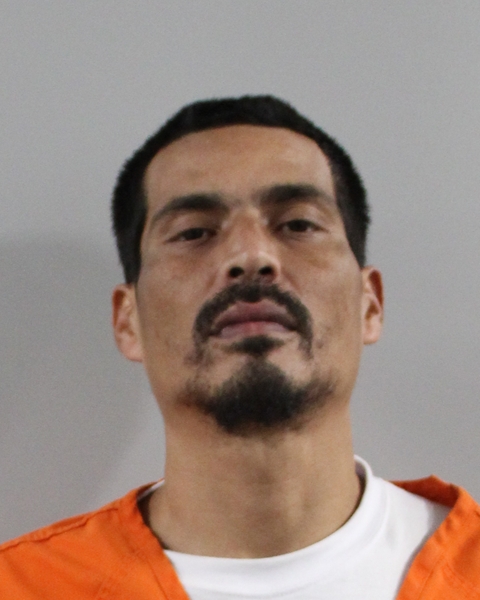 Booking photo of Luis Rosa