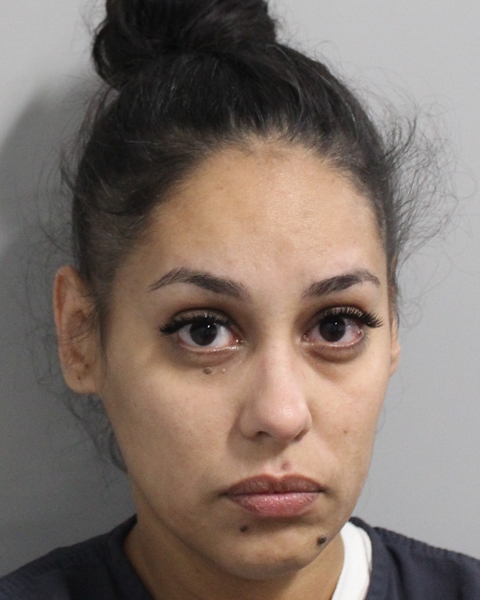 Booking photo of Katysha Rosa