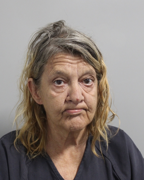 Deedra Mcclelland booking photo