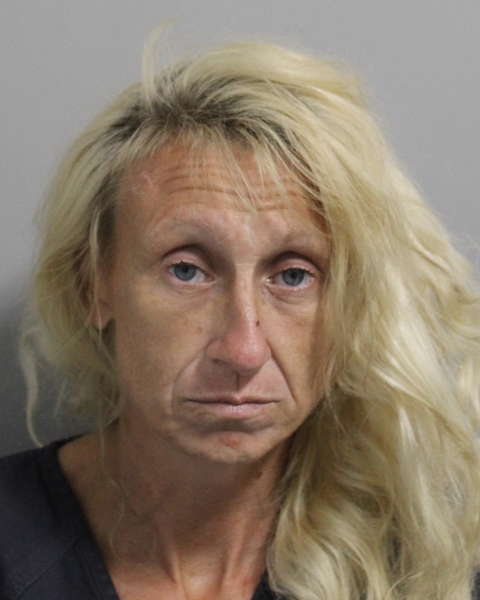 Booking photo of Renee Messick