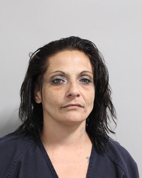 Booking photo of Lisa Risbon