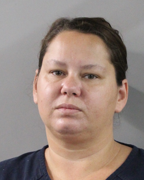 Vanessa Gifford booking photo