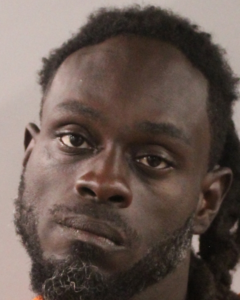 Booking photo of Dywan Hopson