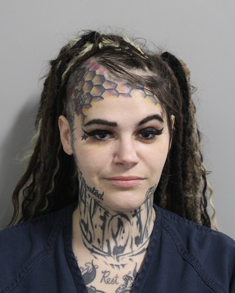 Booking photo of Shenna Fillinger