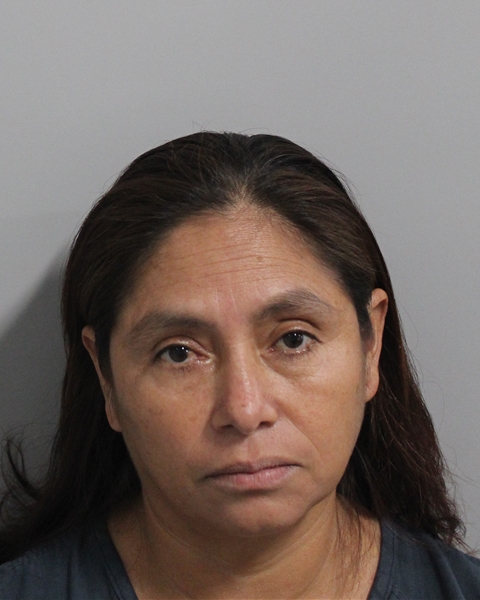 Booking photo of Norma Alvarez Castillo