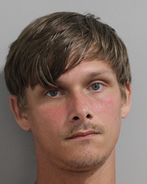 Christopher Brown booking photo