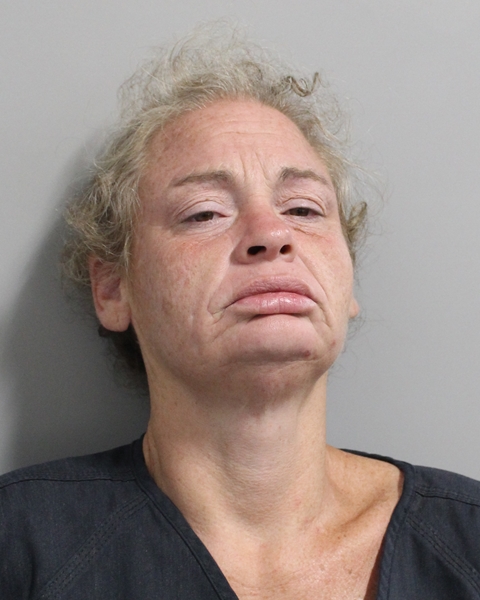 Booking photo of Patricia Noble