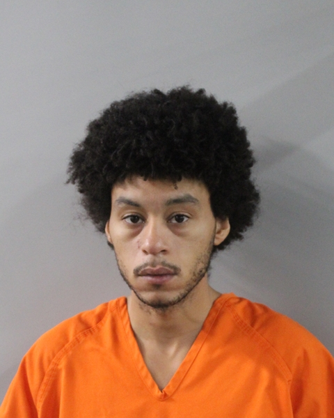Booking photo of Aleksandur Roman