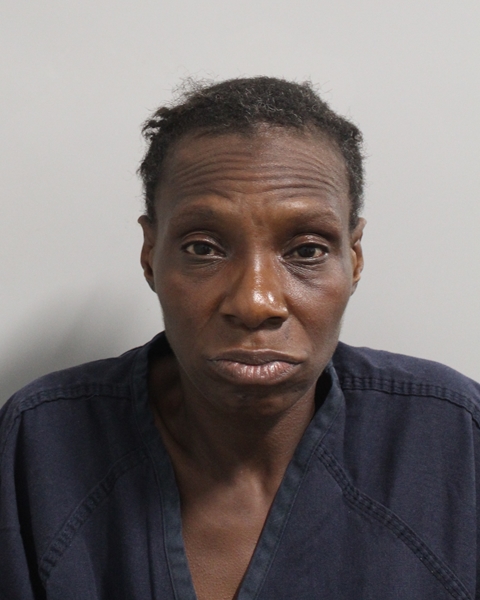 Booking photo of Stephanie Mcmillian