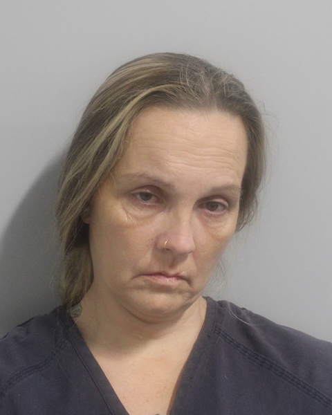 Booking photo of Natasha Plaggemeyer