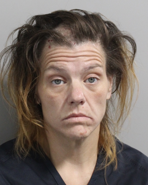 Booking photo of Amanda Burry