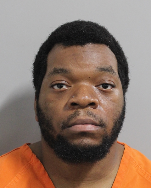 Booking photo of Louis Raymond