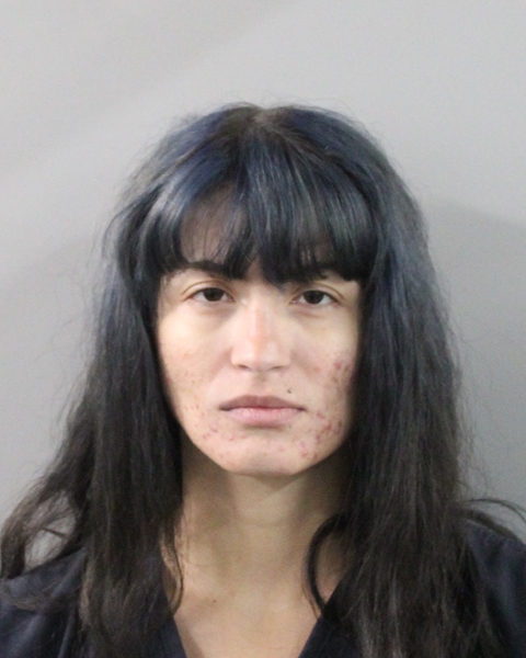 Booking photo of Ailema Carralero