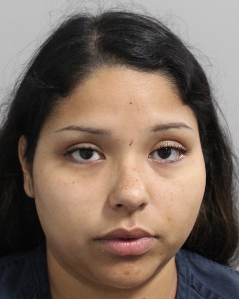 Booking photo of Brianna Reynoso
