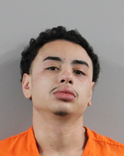 Booking photo of Lenen Leonardo