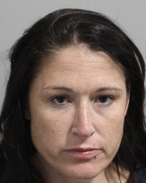 Booking photo of Sarah Shelnutt