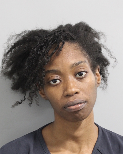 Booking photo of Sierra Bristol