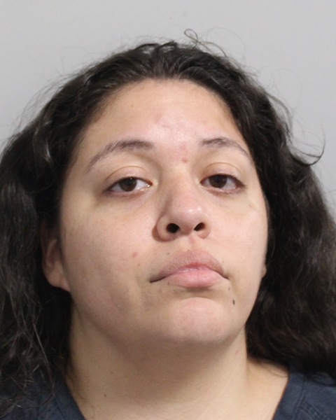 Booking photo of Rosario Rodriguez