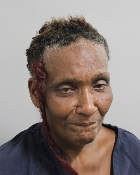 Booking photo of Doretha Johnson