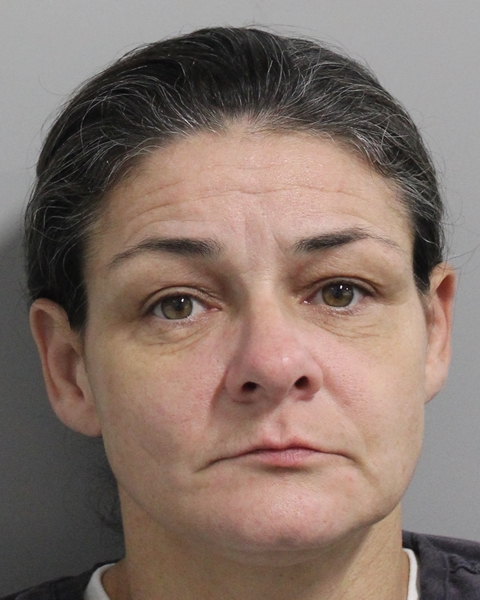 Deborah Applegate booking photo