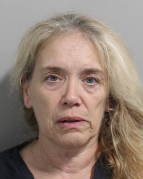 Booking photo of Lisa Woods