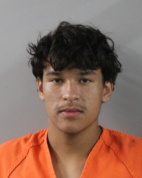 Booking photo of Yaell Nino