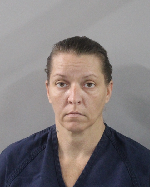 Booking photo of Brenda Sasnett