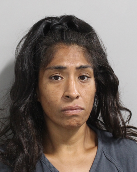 Booking photo of Maricela Mendoza