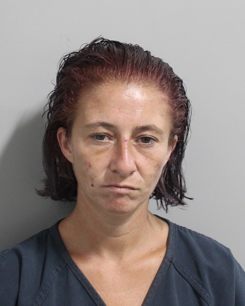 Booking photo of Dwyn Artz