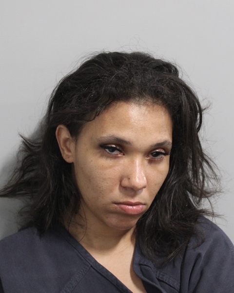 Tamyre Williams booking photo