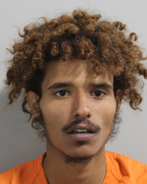 Booking photo of Nicholas Silva