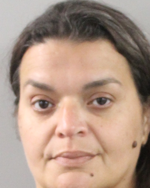 Booking photo of Viviana Santiago