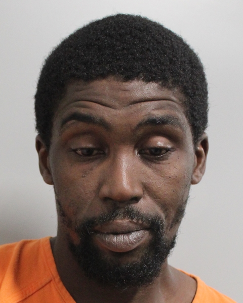 Booking photo of Devan Haggins