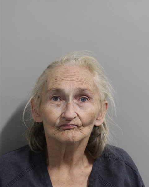 Booking photo of Gail Brooks
