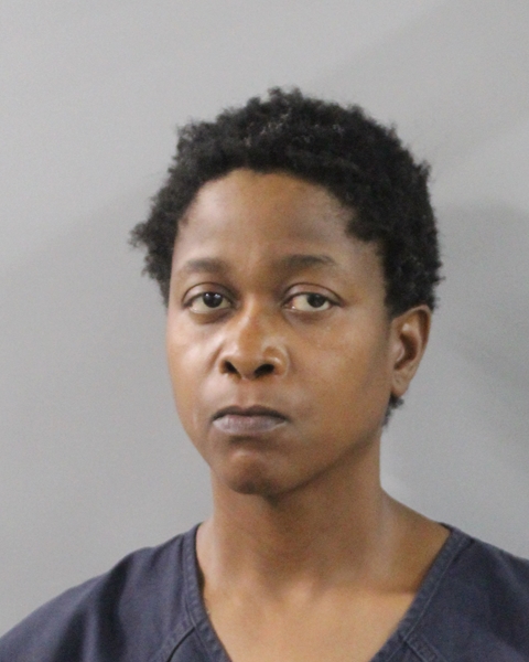 Booking photo of Manise Angervil