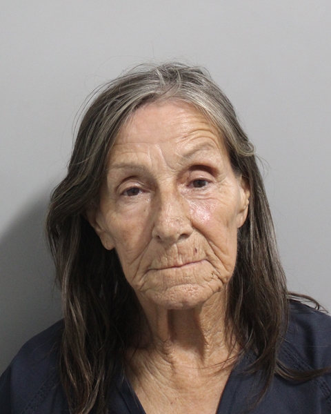 Booking photo of Sue Hamrick