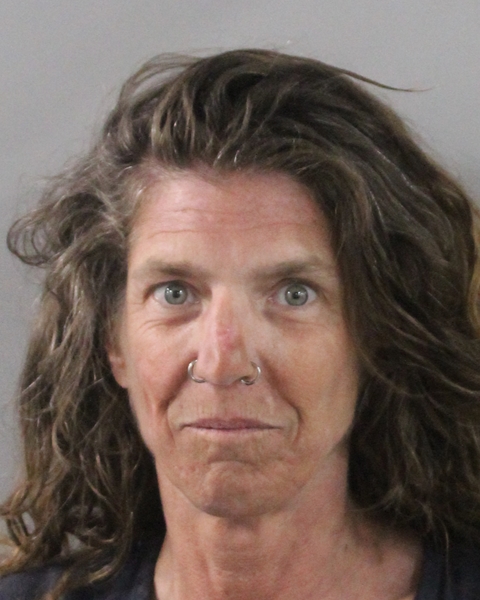 Booking photo of Heidi Norum