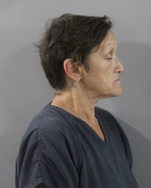 Booking photo of Misti Mercante