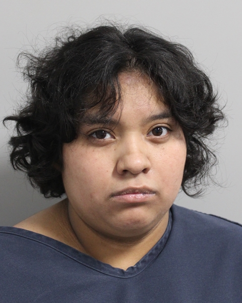 Booking photo of Nievelys Negron