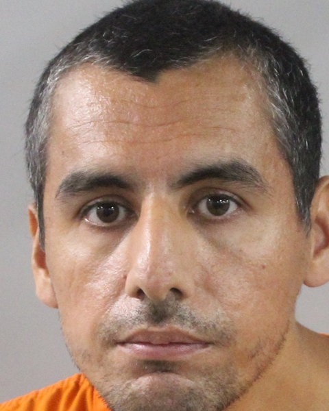 Booking photo of Cameron Francis